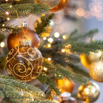 Christmas Tree Delivery service in Edinburgh