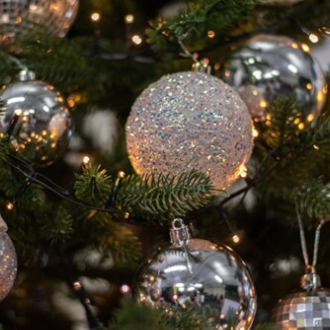 Real Nordmann Christmas Trees delivered in Edinburgh, West Lothian, and across Scotland