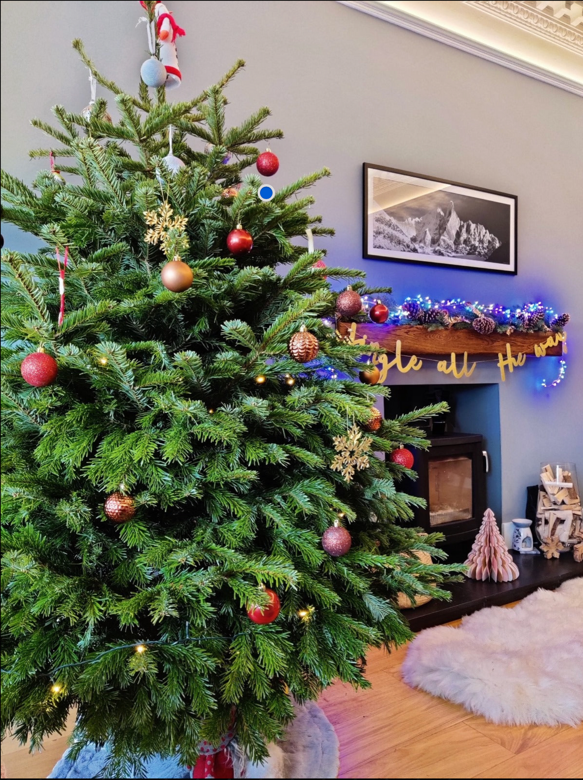 Fraser Fir and decorating service