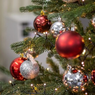 Buy a real Christmas tree online for Delivery in Edinburgh, or click and collect from The Christmas Hut