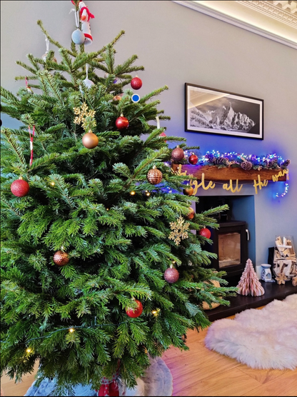 Fraser Fir and decorating service